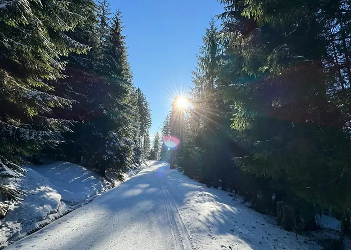 Mitterdorf Almberg X29