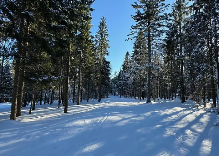 Mitterdorf Almberg X29
