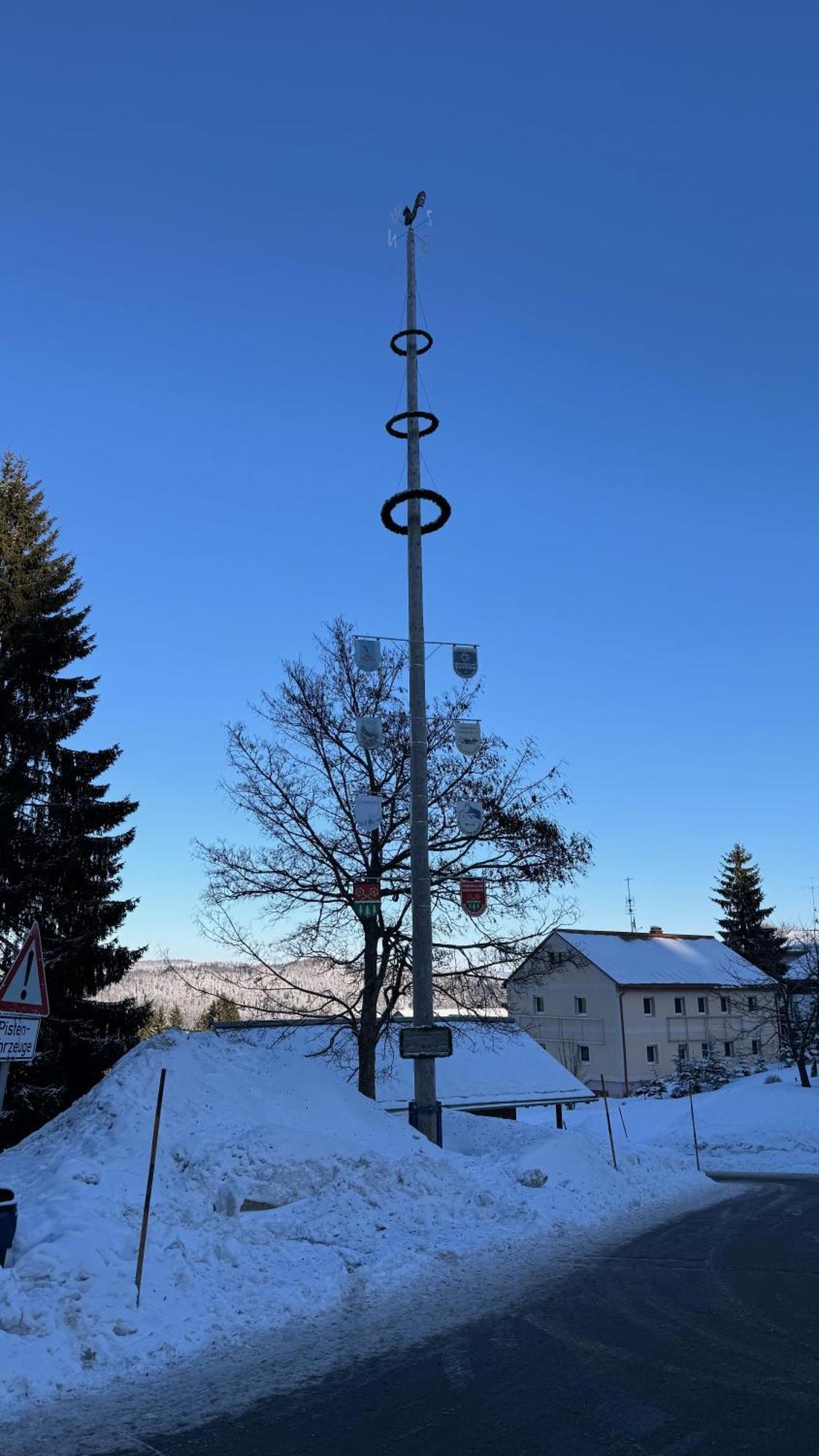 Mitterdorf Almberg X29 *