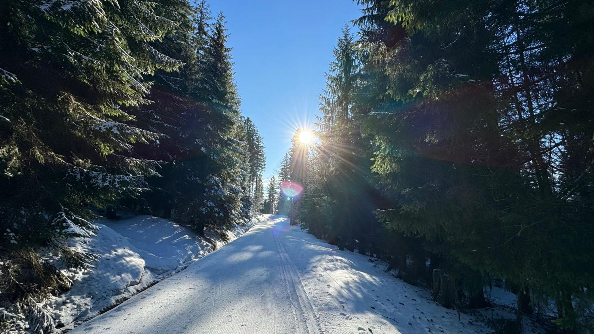 Mitterdorf Almberg X29 Mitterfirmiansreut