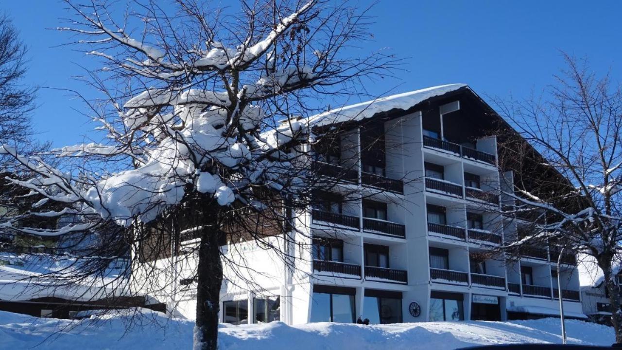 Apartment Mitterdorf Almberg X29